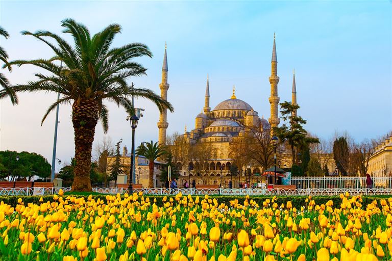 Tulpenblüte in Istanbul ©svetlanamarkova /adobestock